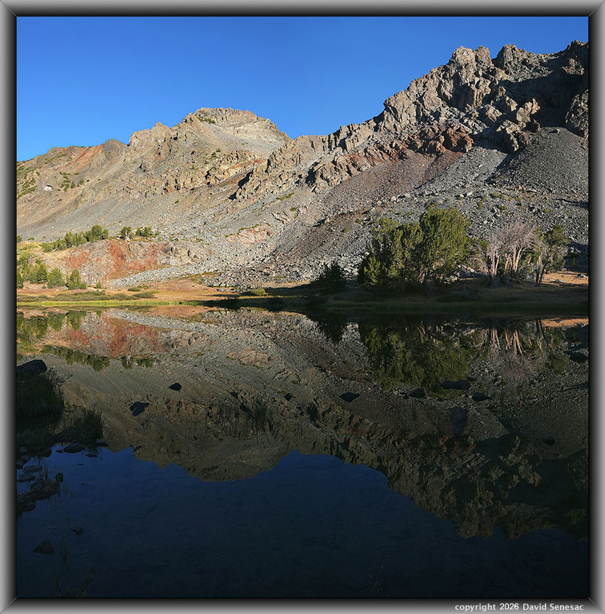 VT01459-01466-2x1v middle Frog Lake, peak 11568, whitebark pine VT01459-01466-2x1v