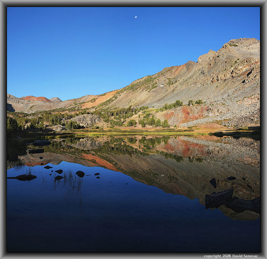 VT01467-01475-2x1v middle Frog Lake, Excelsior Peak, whitebark pine VT01467-01475-2x1v
