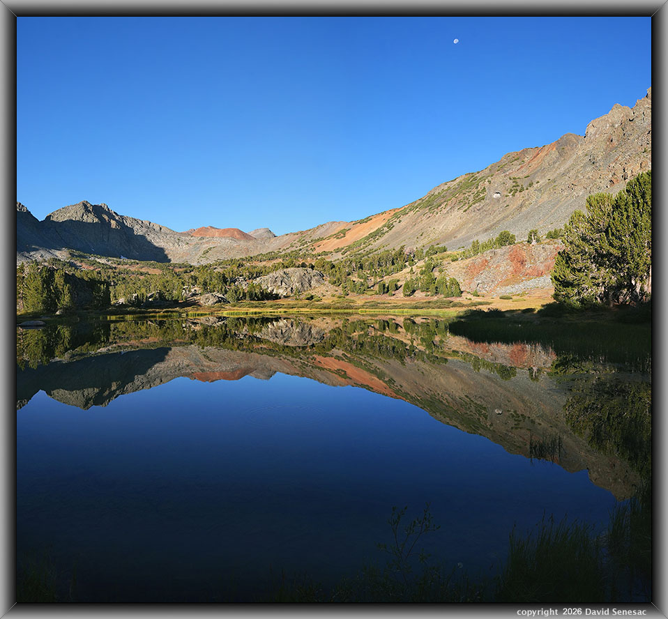 VT01476-01482-2x1v middle Frog Lake, Excelsior Peak, whitebark pine VT01476-01482-2x1v