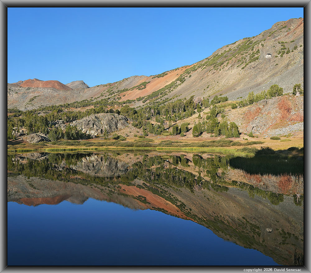 VT01487-01499-2x1v middle Frog Lake, Excelsior Peak, whitebark pine VT01487-01499-2x1v