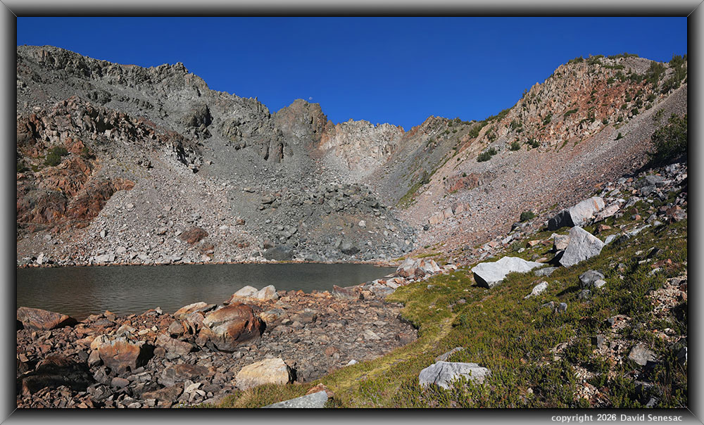 VT02737-02758-2x2h Moat Lake, whitebark pine, red mountain heather VT02737-02758-2x2h