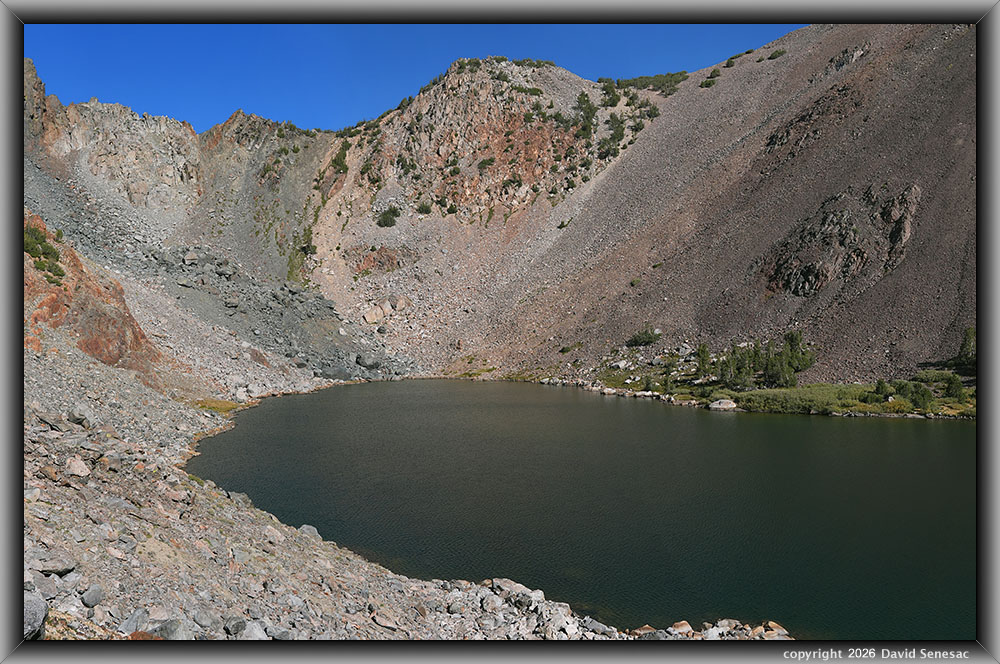 VT02777-02791-3x1v Moat Lake, whitebark pine, Sierra willow VT02777-02791-3x1v