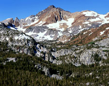 11-L-1T