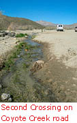 pic15