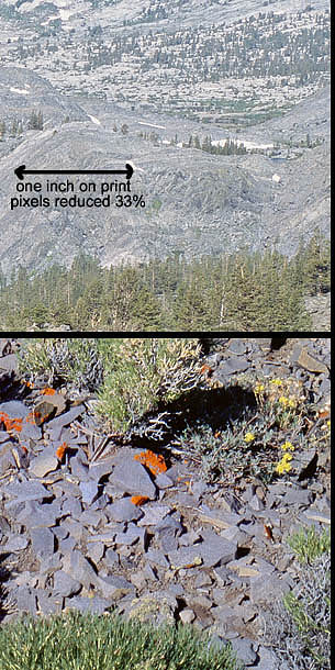04-O-21_crop
