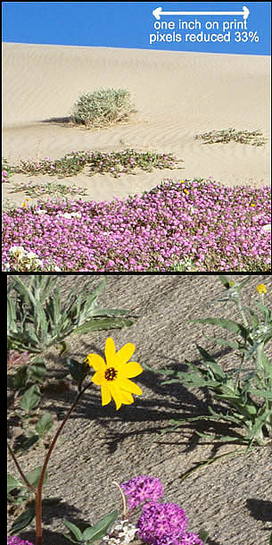 05-B-23_crop