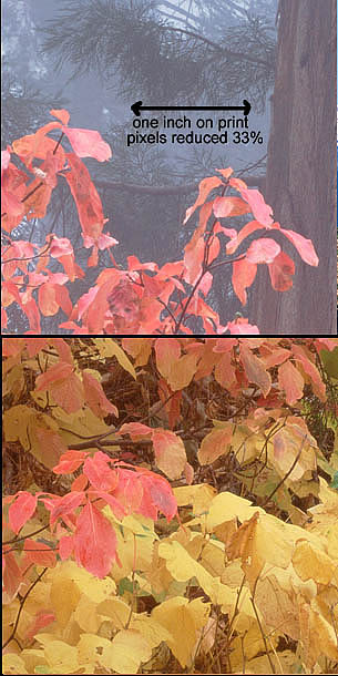 05-BB1-2_crop