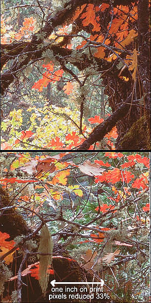05-DD1-1_crop