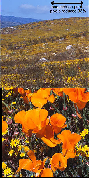 05-H-35_crop