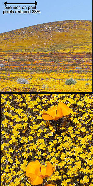 05-H-39_crop