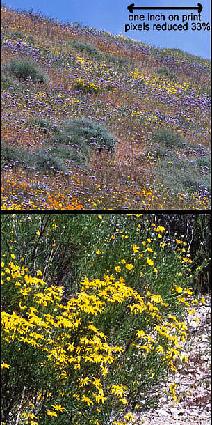 05-I-17_crop