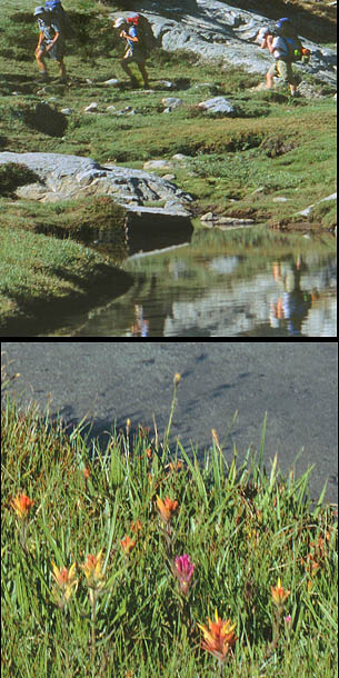 06-DD-12_crop