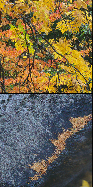 06-JJ-16_crop