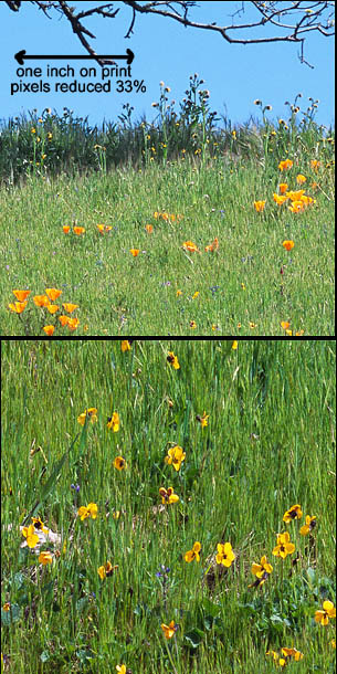 06-L-3_crop