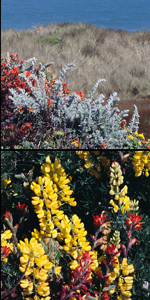 06-V-3_crop